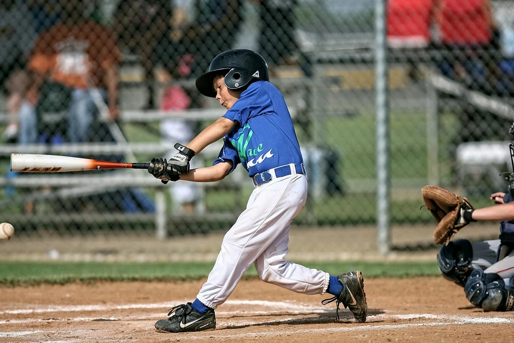 Baseball program